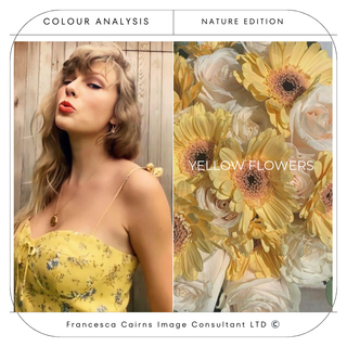 Taylor Swift: A Shining Example of Light Spring