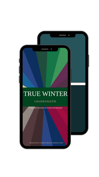 True Winter Digital Colour Sub Season Palette