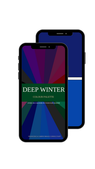 Deep Winter Digital Colour Sub Season Palette