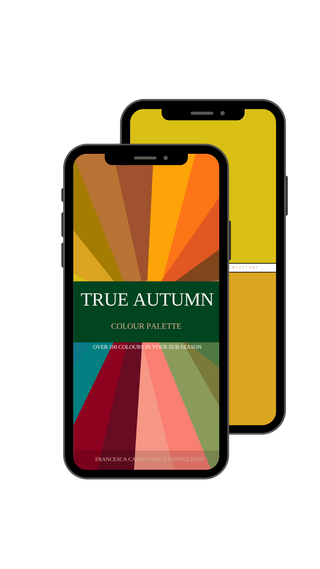 True Autumn Digital Colour Sub Season Palette