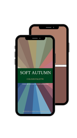 Soft Autumn Digital Colour Sub Season Palette